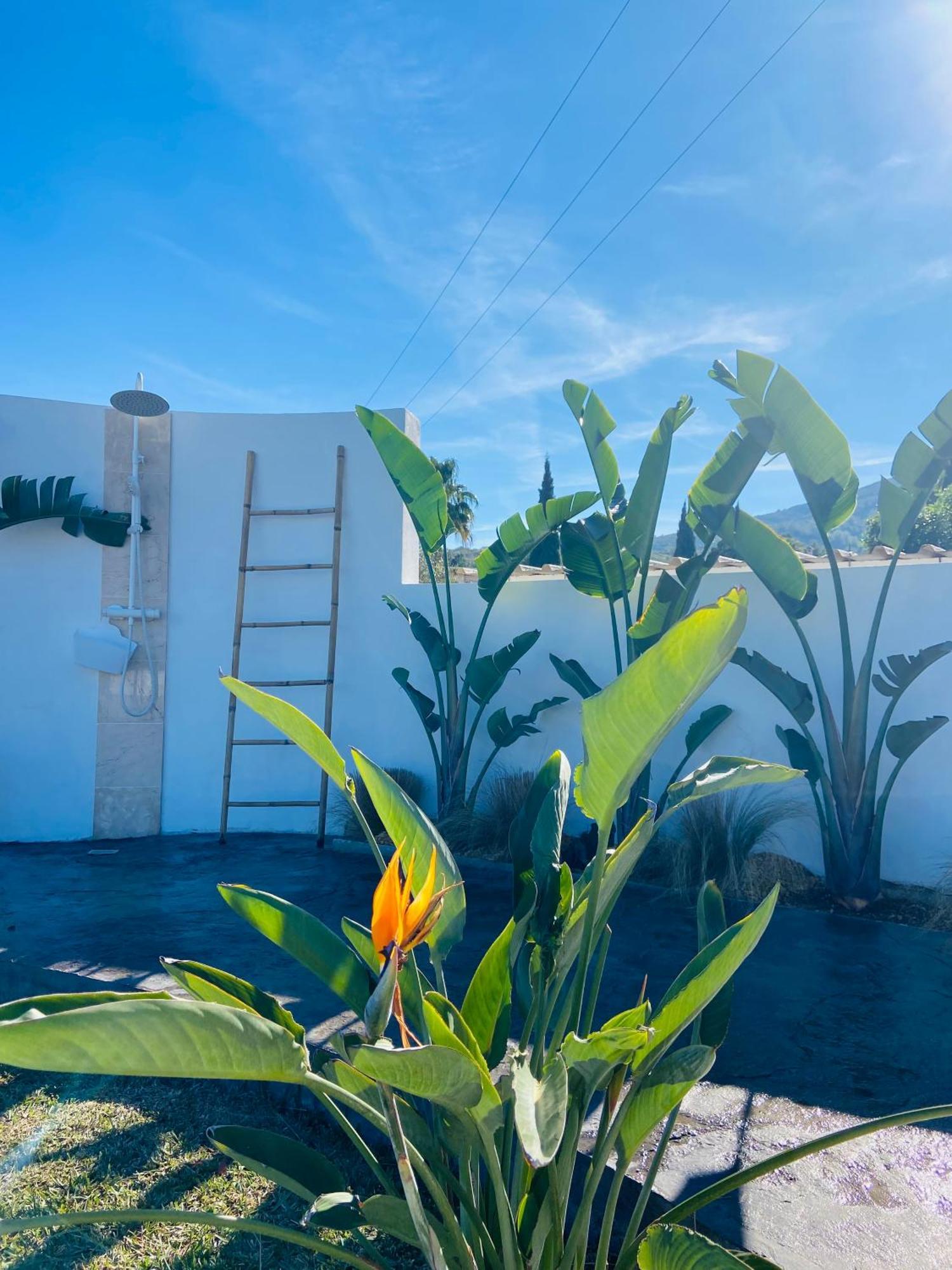 Villa Casa Avellana Dénia Exterior foto